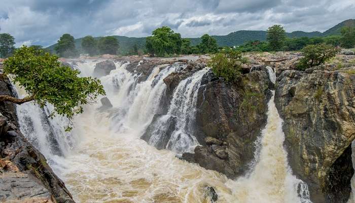 La chutes de Hogenakkal, c'est l'une des meilleur  endroits touristiques à Tamil Nadu