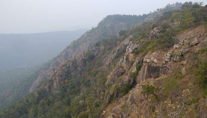 Visiter Javadi Hills, c'est l'une des meilleur  endroits touristiques à Tamil Nadu