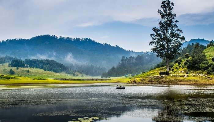 La vue de la lac a Kodaikanal, c'est l'une des meilleur lieux à visiter en Inde