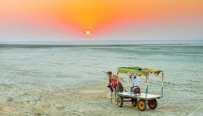 un chariot camal au Rann blanc de Kutch, Gujarat, c'est l'une des meilleur  lieux à visiter en Inde