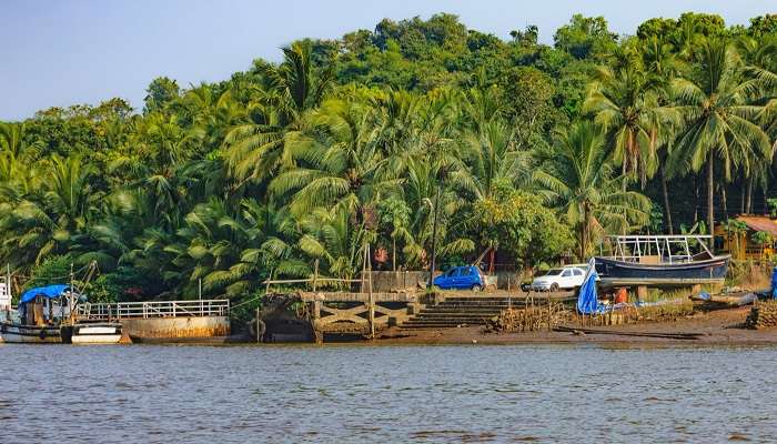 L'ile de Chorao, c'est l'une des meilleur  endroits à visiter à Goa