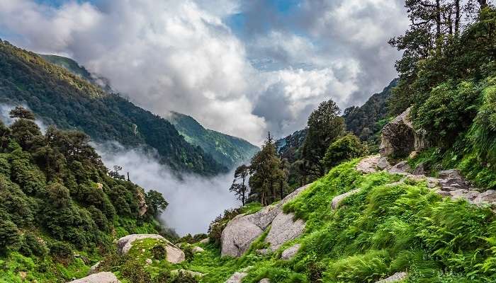 Mcleodganj, la belle stations de montagne, c'est l'une des meilleur  lieux à visiter en Inde