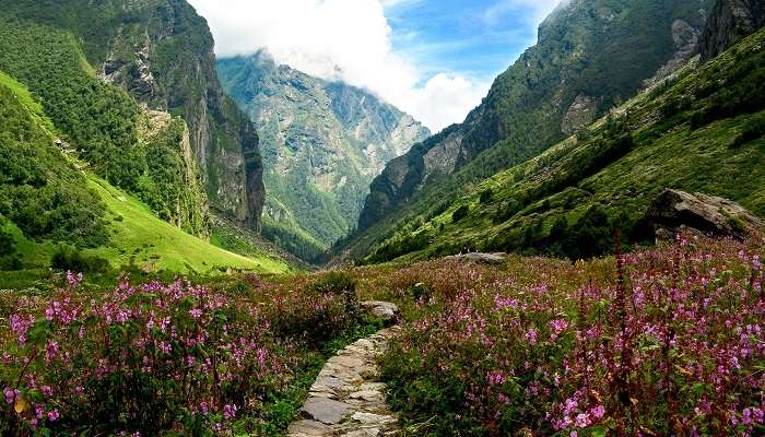 Explorez la Vallée des Fleurs,, c'est l'une des meilleur lieux à visiter en Inde
