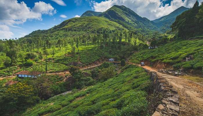 Dreamland, vue verte sur Wayanad, c'est l'une des meilleur lieux à visiter en Inde