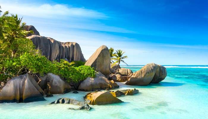 जनवरी में घूमने के लिए सबसे अच्छी जगहें