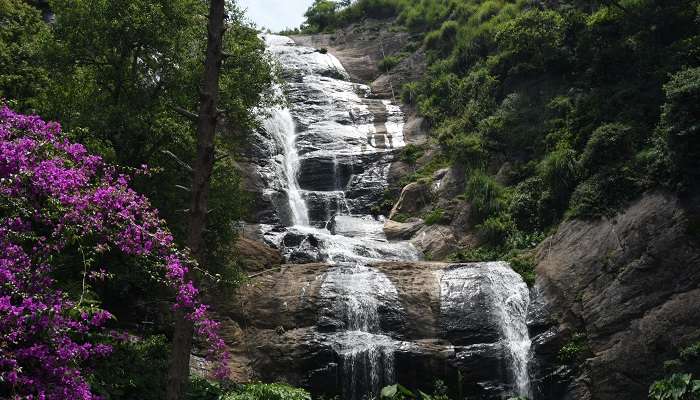 Bear Shola Waterfall is one of the tourist place near Chennai