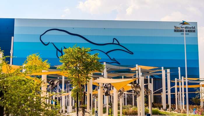 Visit SeaWorld Abu Dhabi with family or friends 