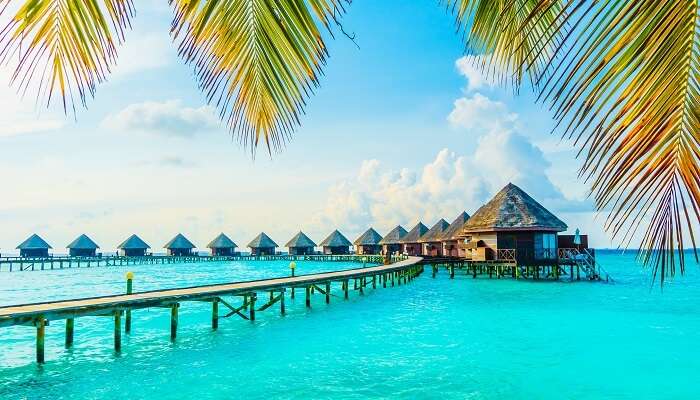 Magnifique hôtel et île tropicale aux Maldives avec plage