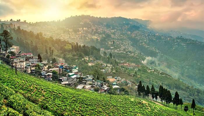 Darjeeling, Bengale Occidentale,  c'est l'une des meilleures stations de montagne à visiter en Inde