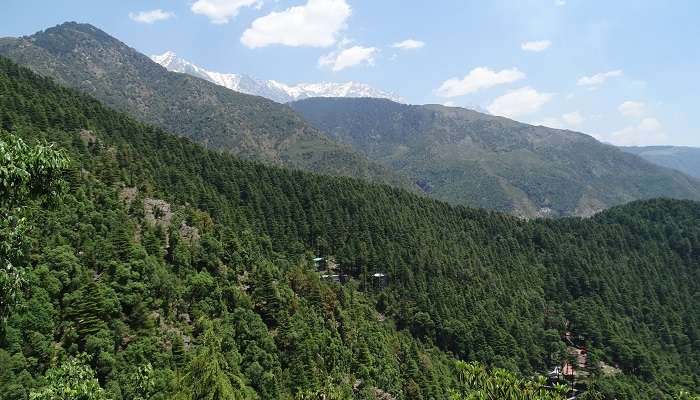 Dharamkot, Himachal Pradesh, c'est l'une des meilleures stations de montagne à visiter en Inde