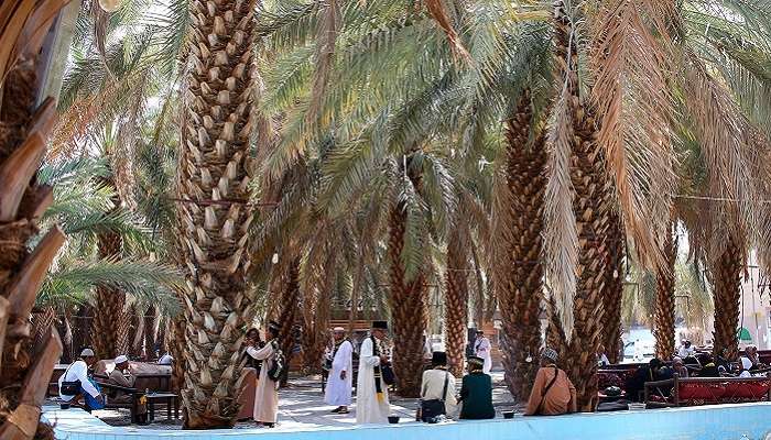 Medina has gained global recognition for its date palms and is one of the astonishing Madina.
