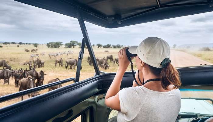 A tourist on a wildlife safari, one of the adventurous bucket list ideas for summer