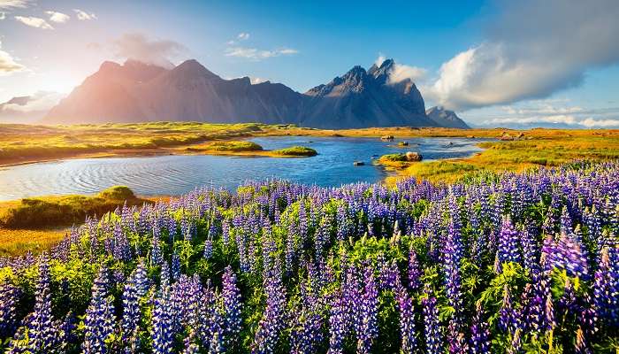 Islande, la meilleures destinations de vacances d’été dans le monde