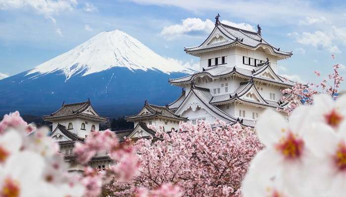 Château Himeji et pleine fleur de cerisier avec la montagne Fuji