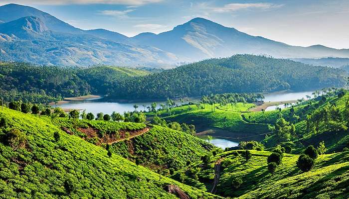 Kerala is one of the top travel bucket list ideas for friends and family, due to the famous tea plantations, Munnar, and more.