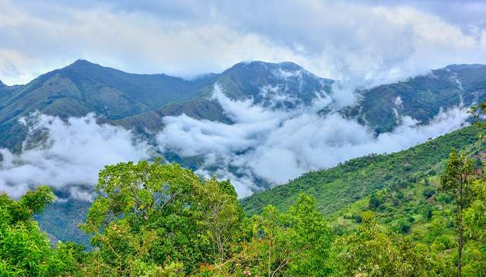 Kotagiri, Tamil Nadu, c'est l'une des meilleures stations de montagne en Inde