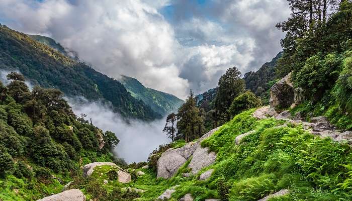 Mcleodganj, la belle stations de montagne, c'est l'une des meilleur  lieux à visiter en Inde