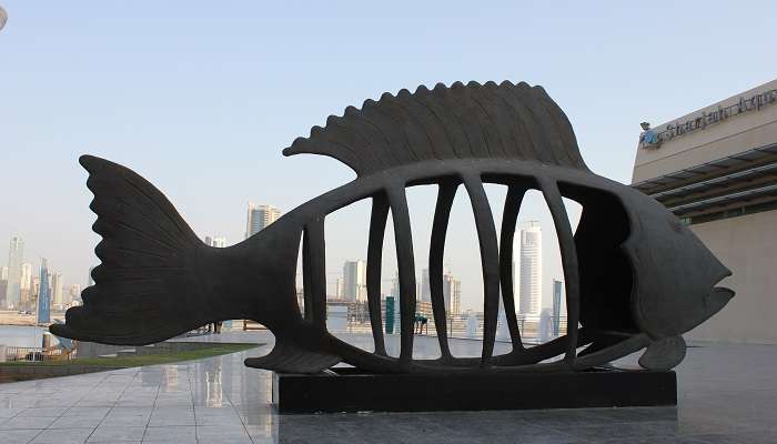 A wonderful view of Sharjah Aquarium where you can get close encounter with various species of aquatic life.