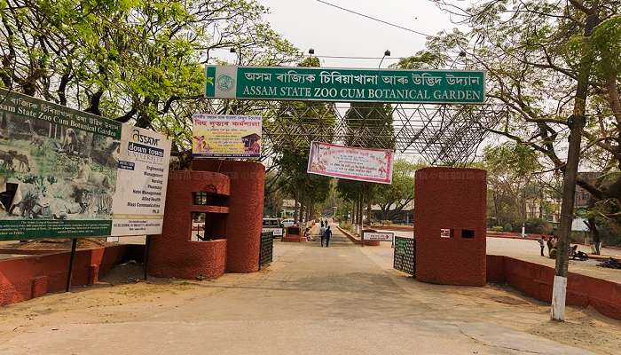 Zoo et jardin botanique de l'État d'Assam, c'est l'une des meilleur  lieux touristiques en Assam