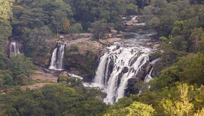 चिन्नर वाइल्डलाइफ सैंक्चुरी केरल में घूमने के लिए सबसे अच्छी जगहें है
