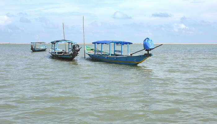 ओडिशा के पर्यटन स्थलों में से एक चिल्का झील है