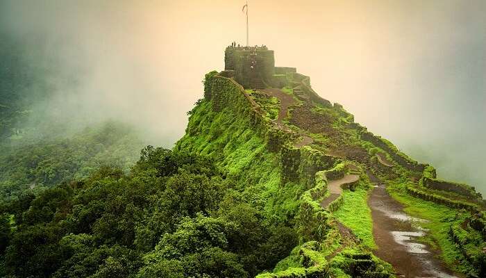 महाबलेश्वर महाराष्ट्र के सबसे लोकप्रिय पर्यटन स्थलों में से एक है