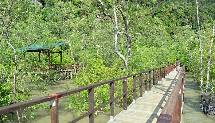 An enchanting view of Baku National Park which is one of the oldest national parks in Sarawak