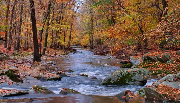 The scenic landscape of Bynum Run Creek in one of the smallest towns in Maryland, Bel Air