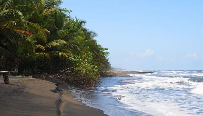 Costa Rica, C’est l’une des meilleur lieux à visiter en février dans le monde