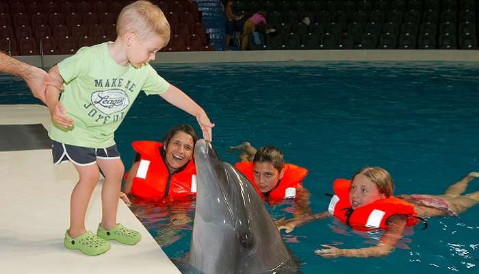 A boy having a fun interaction with a dolphin