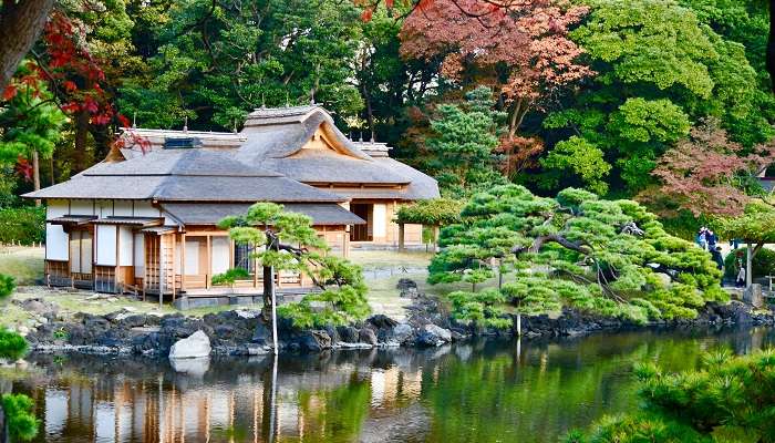Witness different types of bonsai at Hamarikyu Garden, one of the hidden gems in Tokyo on your next trip
