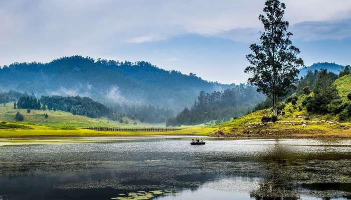 La vue incroyable de Kodaikanal lac,  C’est l’une meilleurs endroits à visiter en février en Inde