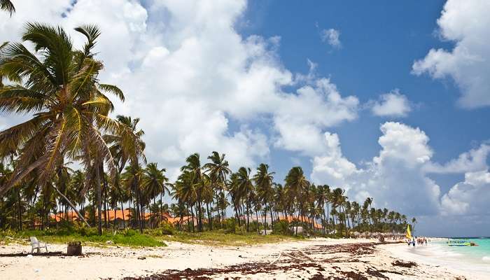 Punta Cana – République Dominicaine,  C’est l’une des meilleurs endroits à visiter en mars dans le monde