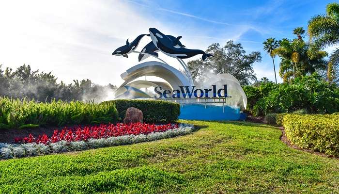 A panoramic view of the SeaWorld sign in the International Drive area