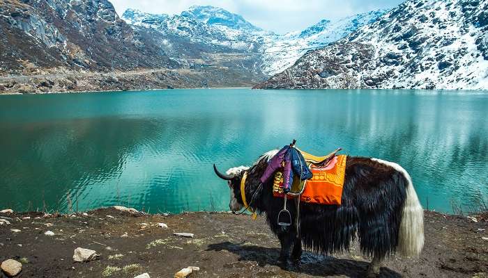 La vue de lac Tsangmo, Sikkim,  C’est l’une meilleurs endroits à visiter en février en Inde