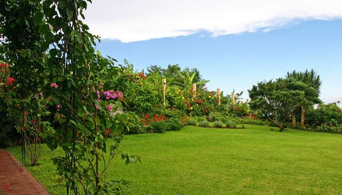 An amazing view of garden in Tagaytay, which is one of the amazing places to visit in Tagaytay