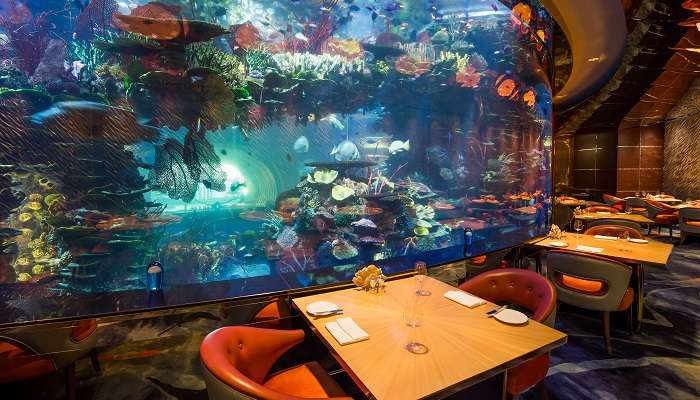 Float in the space like experience of Zero Gravity restaurant of Dubai for creating memories of life