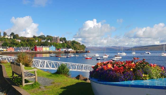 The scenic view of colourful flowers with aesthetic buildings of one of the small towns in Scotland, Tobermory