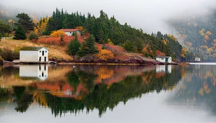 Find yourself in the middle of the gorgeous small town, Trinity in Newfoundland