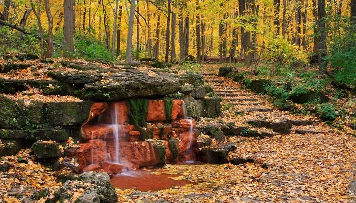 In one of the most well-known small towns in Ohio, Yellow Springs, experience a natural spring with the colours of autumn