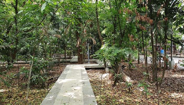 मनीला में घूमने की जगहें में से एक एरोसेरोस वन पार्क है