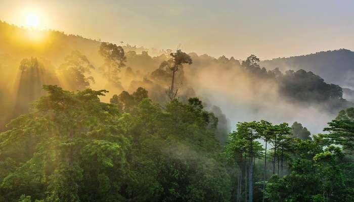 Borneo, c'est l'une des Meilleurs courts voyages au départ de Singapour