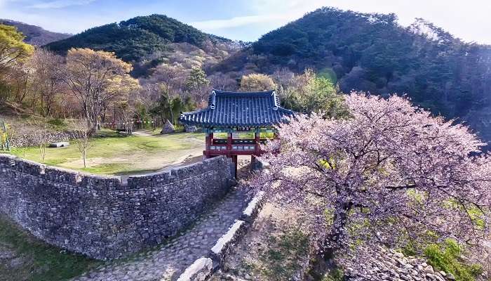 A delightful view of Damyang which is one of the wonderful small towns in South Korea