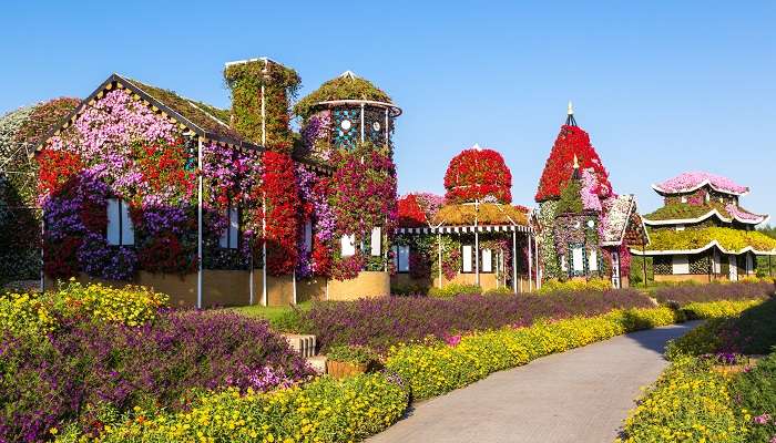 A picturesque view of Dubai Miracle Garden, one of the delightful hidden gems in Dubai
