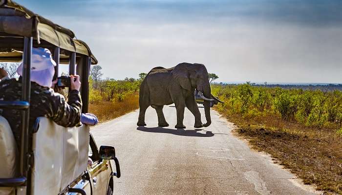 The largest game reserve in Africa