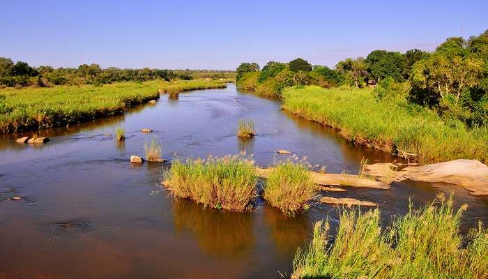 The jaw-dropping view of the Sabie River.