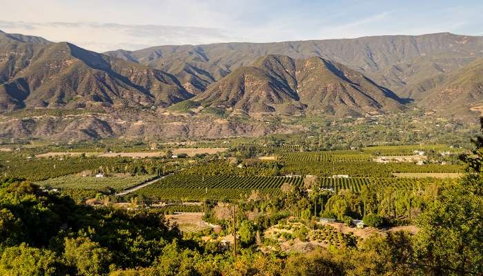 Renowned as the tourist hotspot, Ojai is one of the best small towns in California