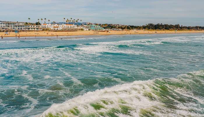 Pismo beach is famous for its wines and amazing beaches