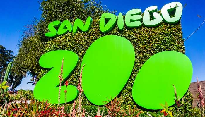 San Diego Zoo is one of the top amusement parks in San Diego