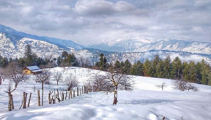 हिमाचल प्रदेश में सबसे पसंदीदा छुट्टी स्थलों में से एक, कुफरी है